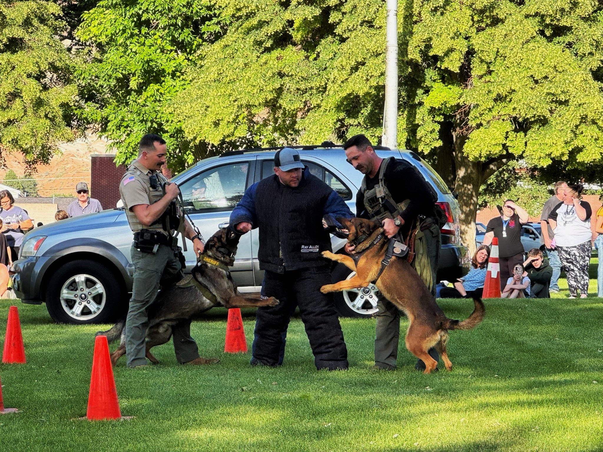 COPS, DOGS, & HOT DOGS IN THE PARK: A COMMUNITY NIGHT WITH BITE